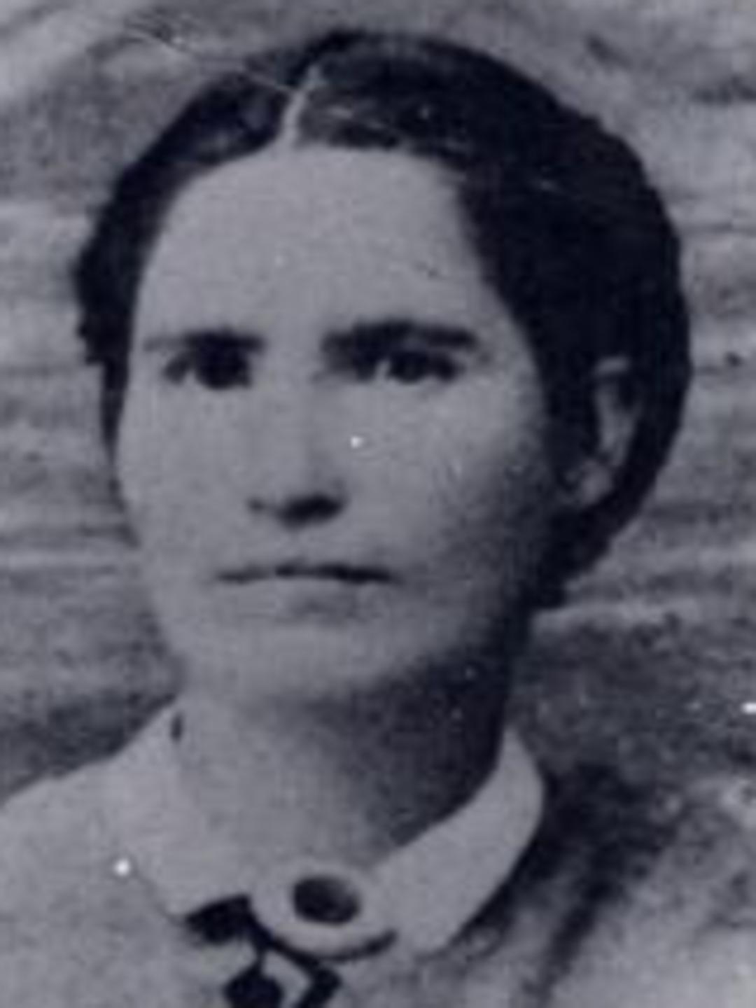 Emma Jane Stevenson (1846 - 1911) Profile